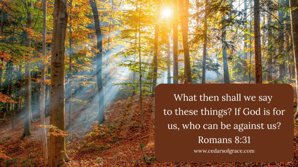 Bible verses for strength
Bible verses for healing
Bible verses for healing and strength